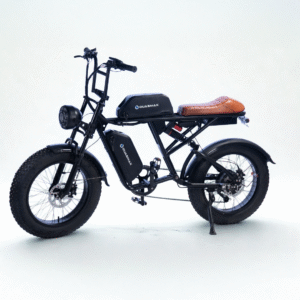 QUASMAX RX Double batterie