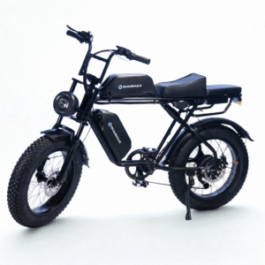 QUASMAX Y1 Double batterie